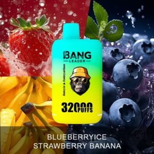 Bang Leader Blueberry Ice X Strawberry and Banana