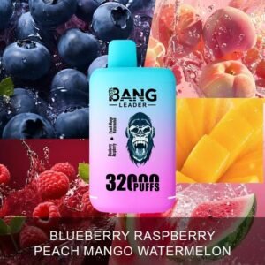 Bang Leader Blueberry Raspberry X Peach Mango Watermelon